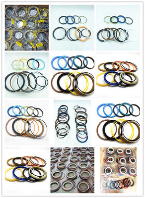 DH HD Hitachi Carterpillar Sumitomo Kato Kobelco Sany Excavator Boom Seal Kit resistenza all'usura